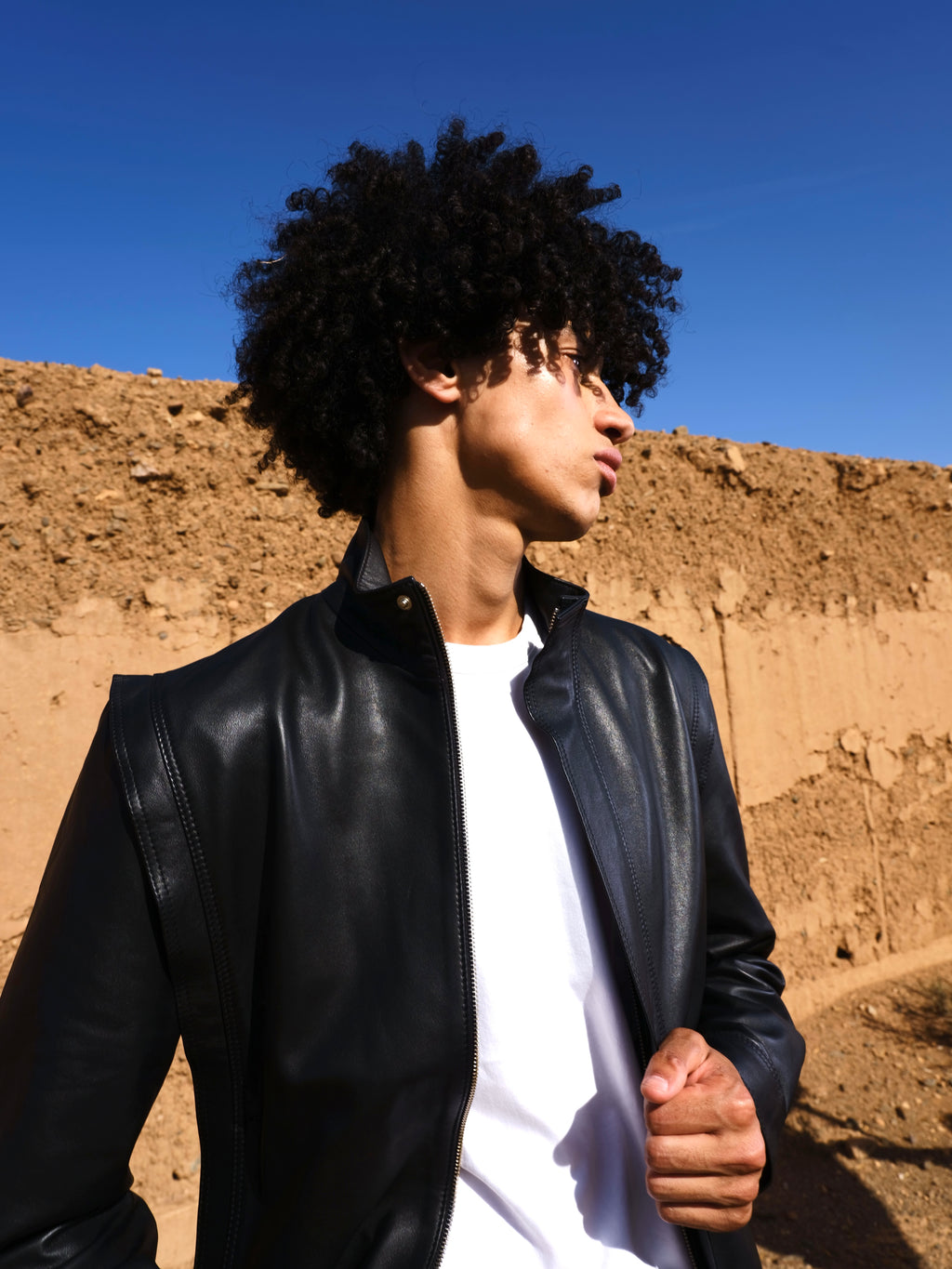 Blouson en cuir Jackson
